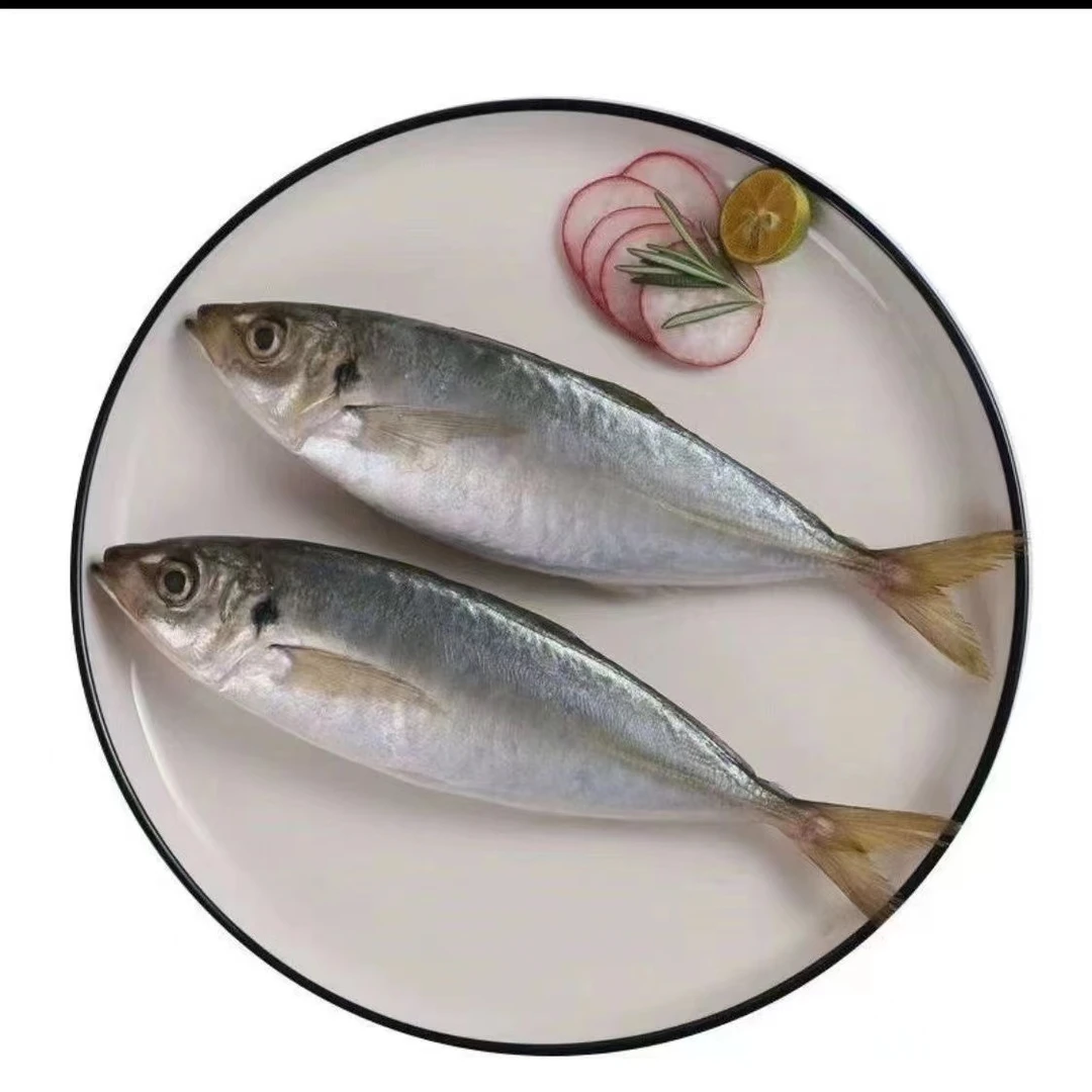 [当天新货]巴浪鱼竹荚鱼黄翅鱼大龙胆石斑鱼马友鱼深海大鱼红鲳鱼