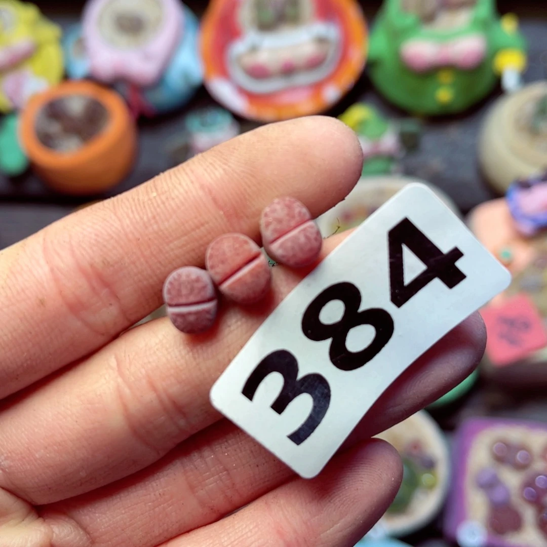 384每单一单量拍