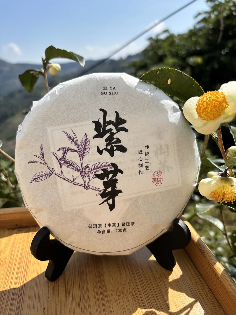 【新茶上市】2025年头春头采紫芽古树茶