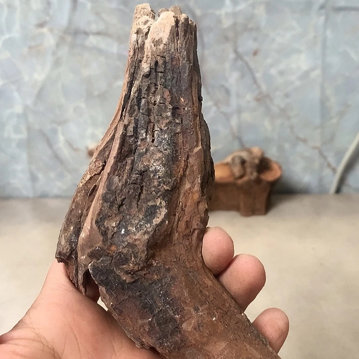 丰***～大叶紫檀（黑酸枝木类）