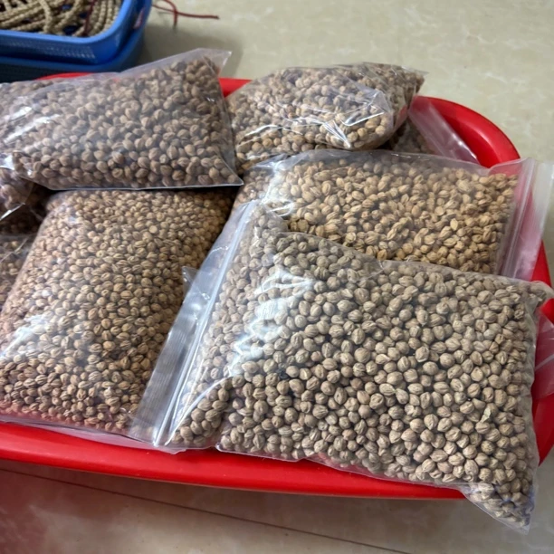 文玩柏香籽原料没打孔一斤左右