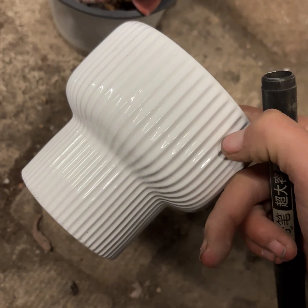 杠***娃白盆盆盆盆盆盆盆盆盆