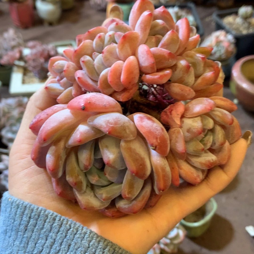 哈哈哈哈哈哈哈哈哈哈