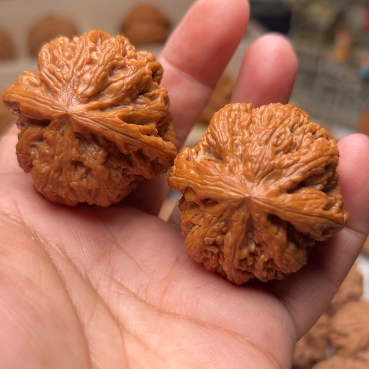 核桃文玩核桃大粗筋