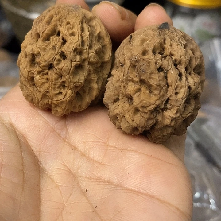 核桃云南铁核桃基地58
