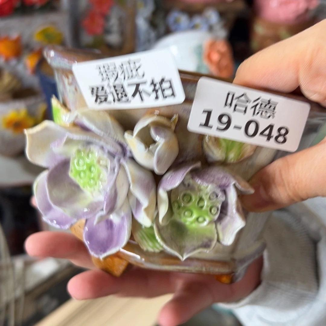 瑕疵1948 满20米包邮秒退拉黑