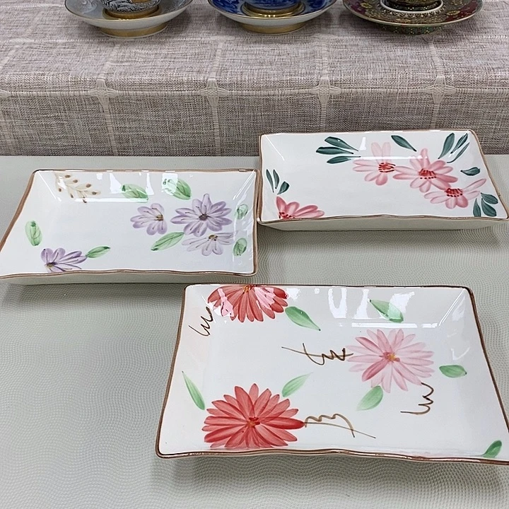 瓷片口径17进口瓷器