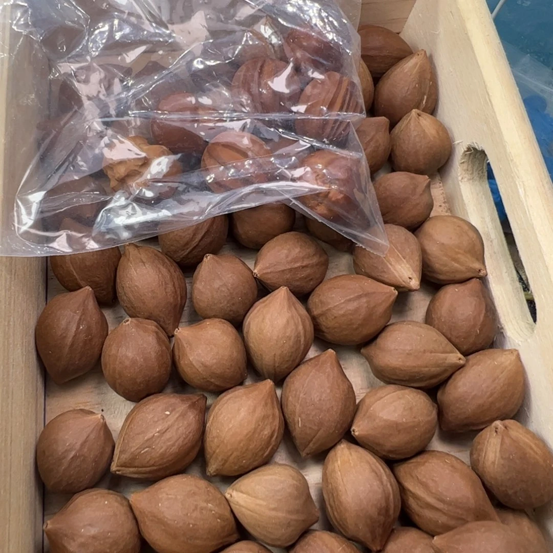 橄榄核手串/手链2.0-2.1+的短圆橄榄核原料一斤极红