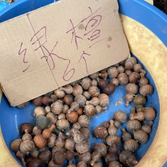 非洲紫檀（红花梨）