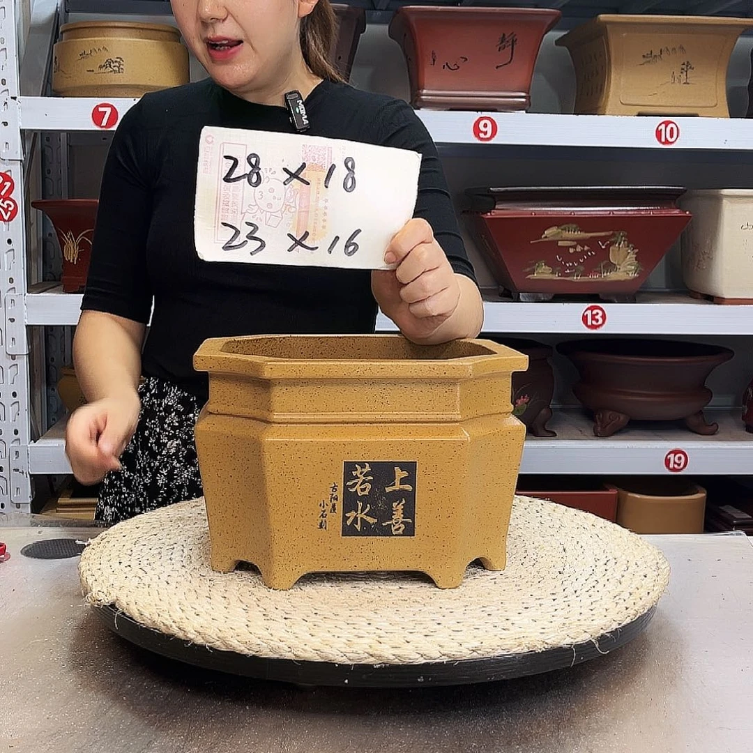 紫砂花盆紫砂花盆里