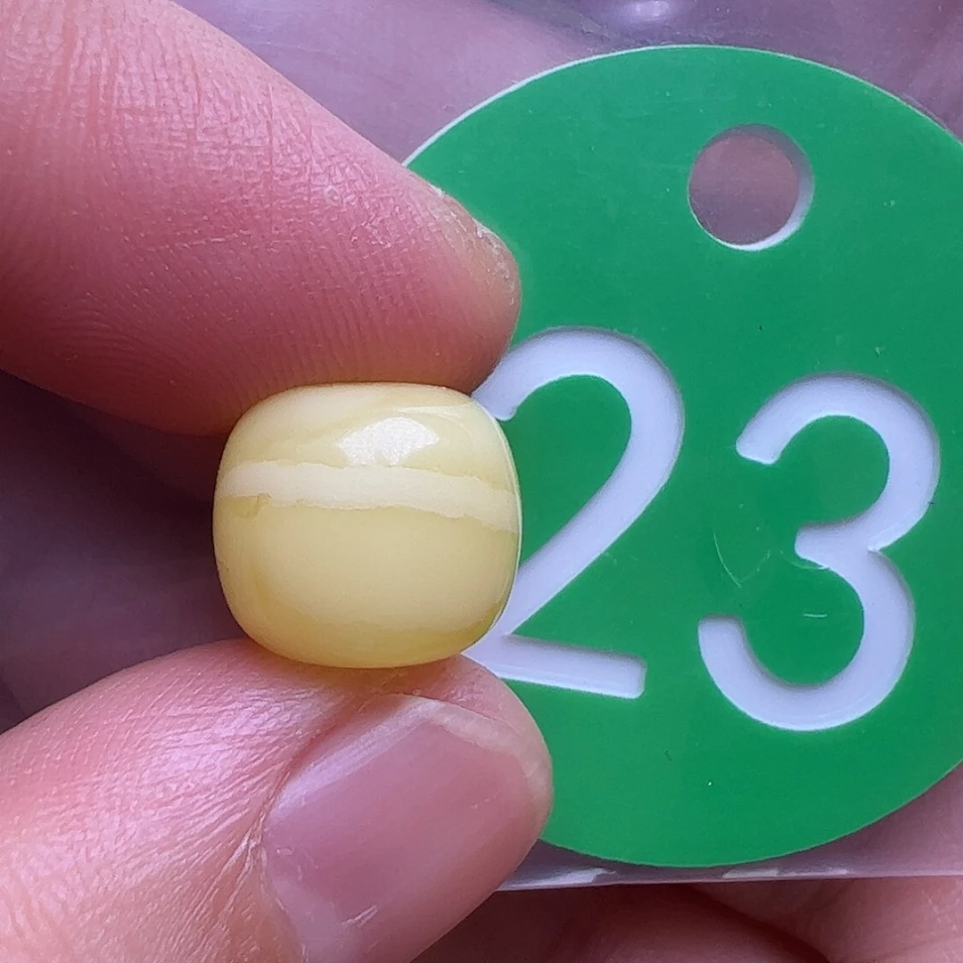 未镶嵌蜜蜡珠宝奇石11mm花粉