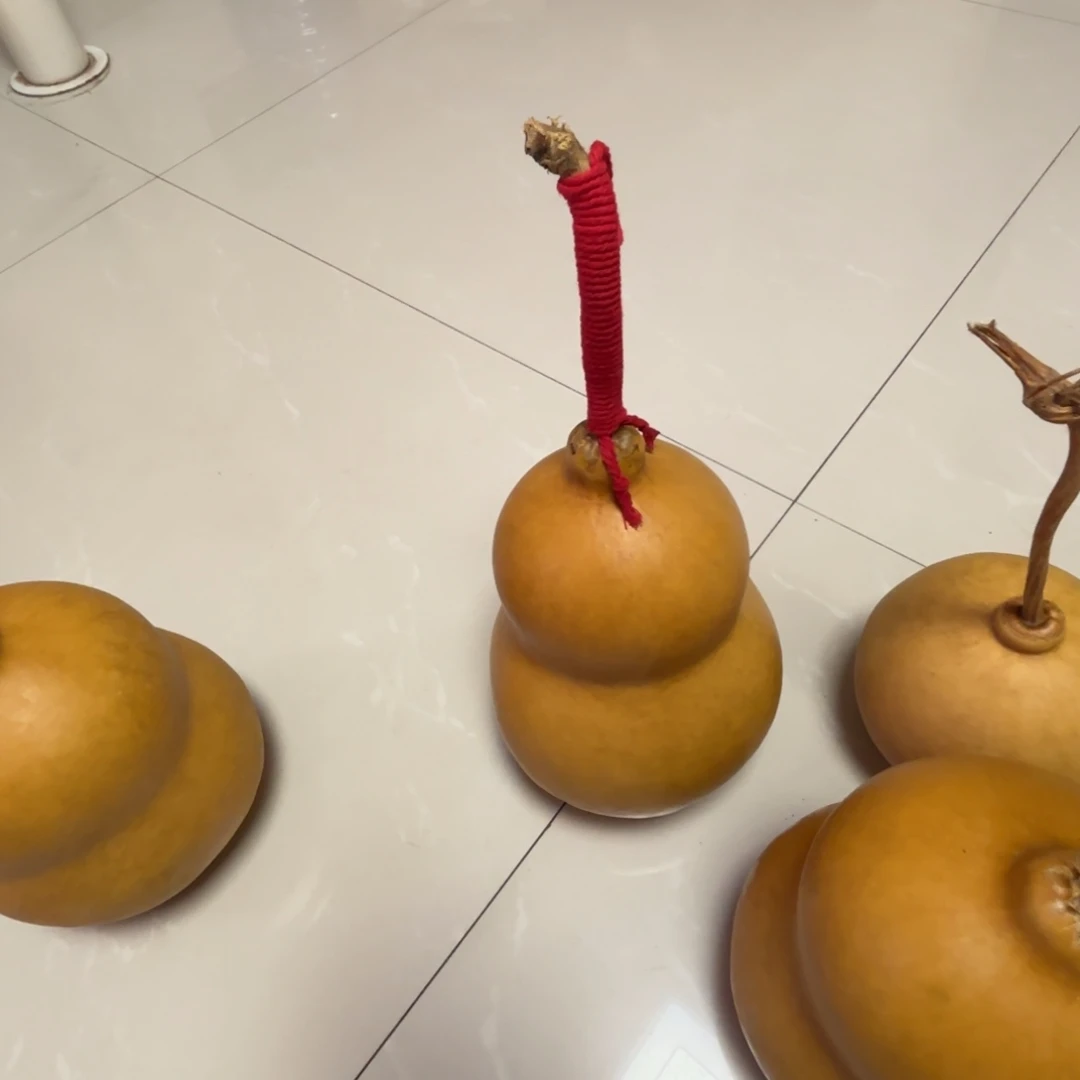 用***8葫芦葫芦葫芦葫芦葫芦