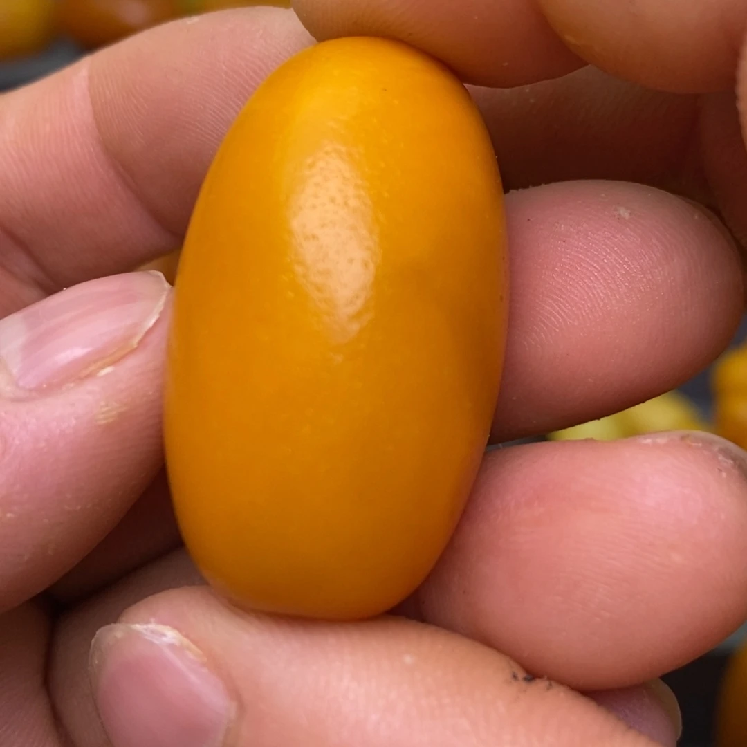 蜜蜡未镶嵌珠宝奇石