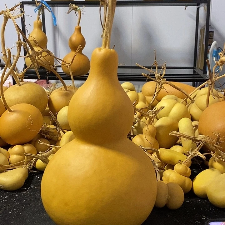 葫芦的颜色是蓝色的还是