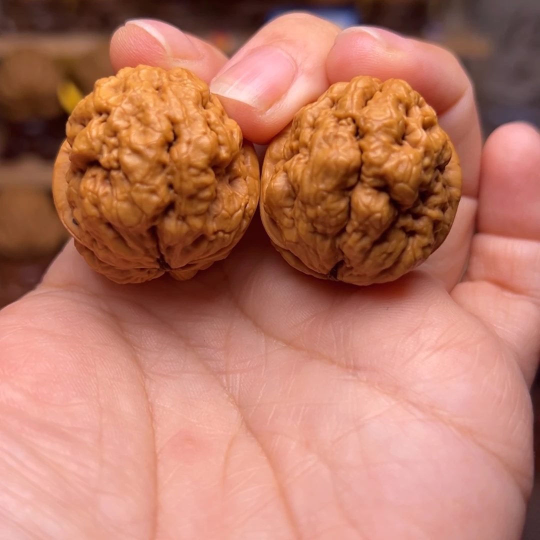 文玩核桃把件54w血舍利34尺