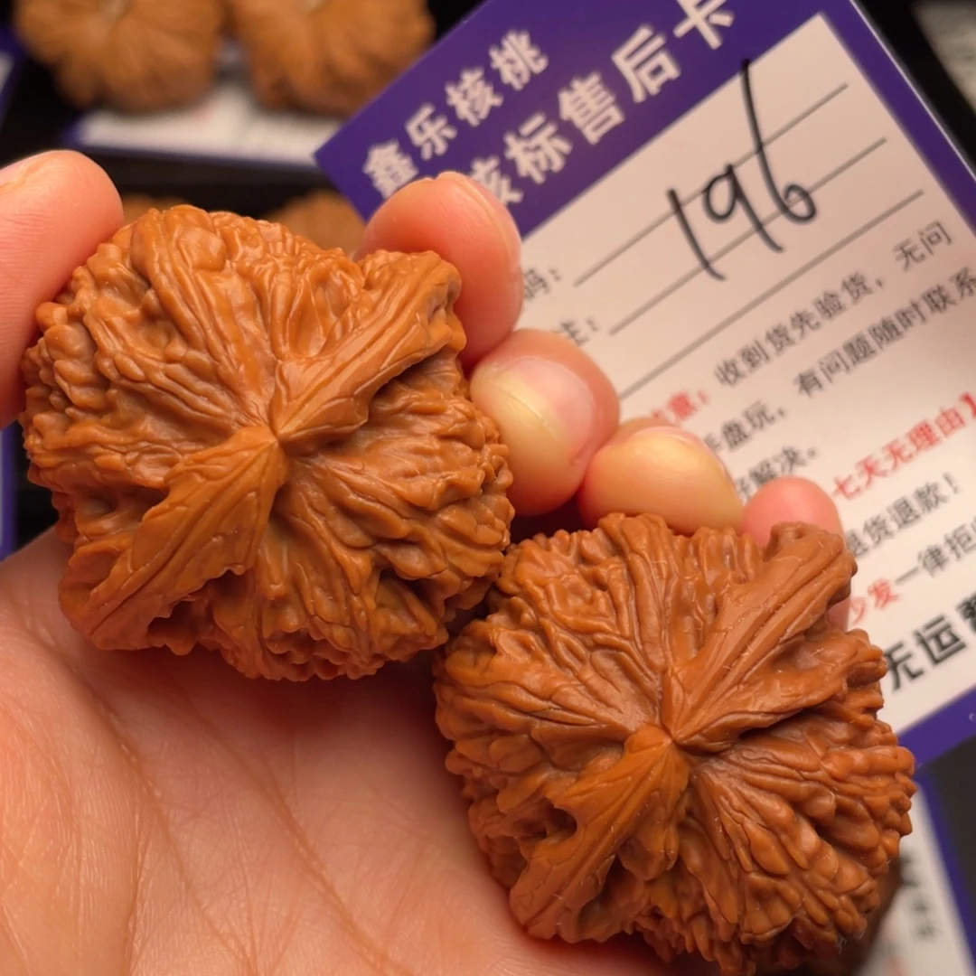 把件文玩核桃老树白狮子42尺