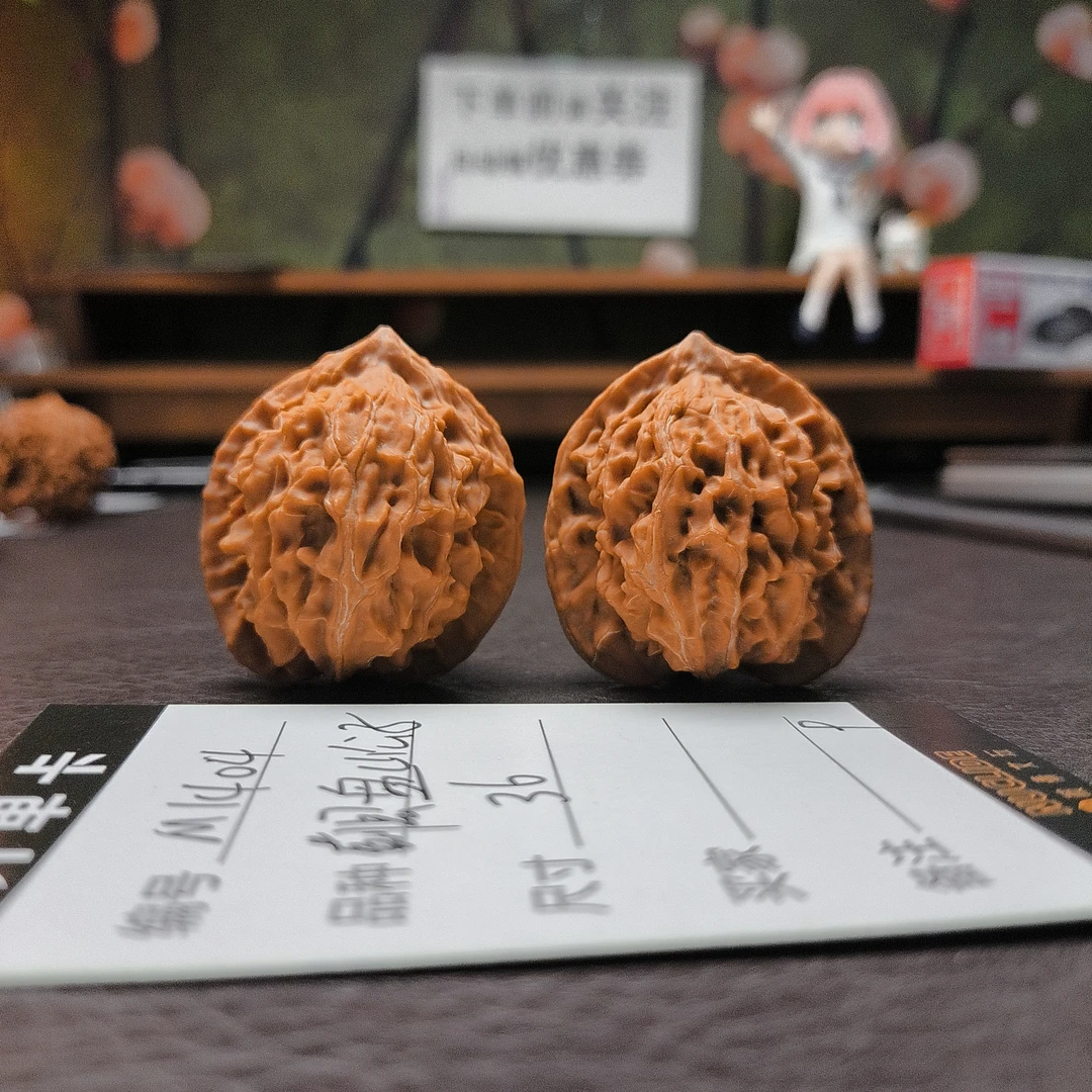 【文玩核桃】蓟县盘山公子36（M1404）