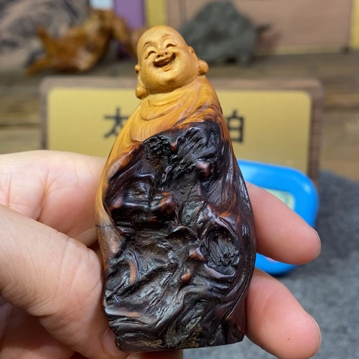 柏木（崖柏）崖柏11111