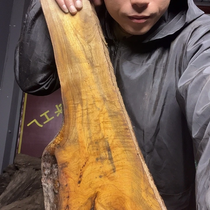 铭***嘉小叶金丝楠原材料