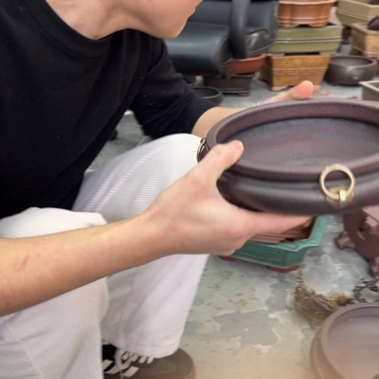 紫砂花盆中香薰装饰等