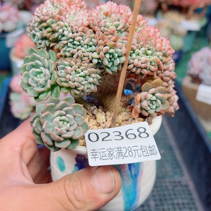 幸运的是我还没遇到