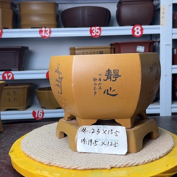 紫砂花盆蛇年大吉