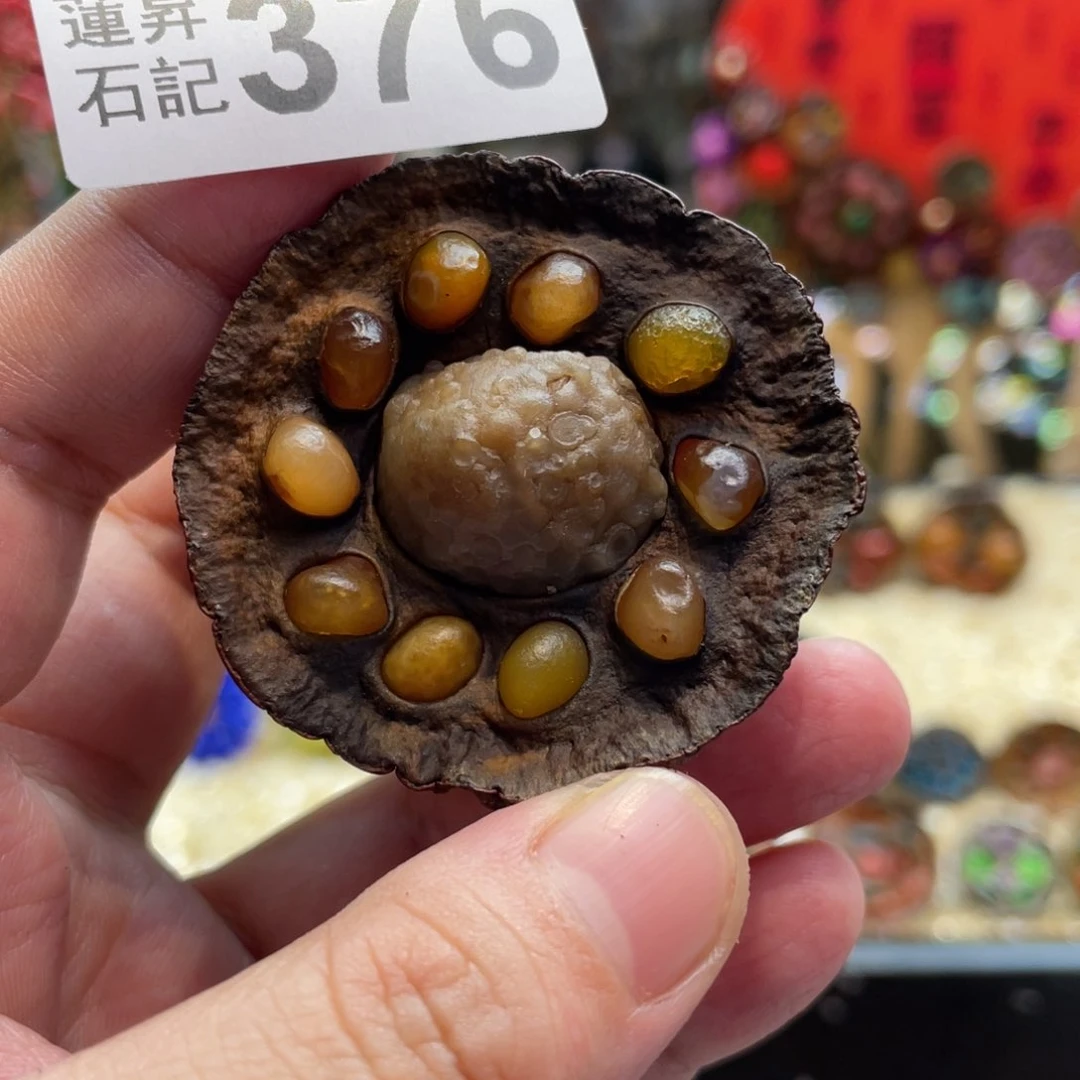 核桃木/黑胡桃（胡桃木）未*376