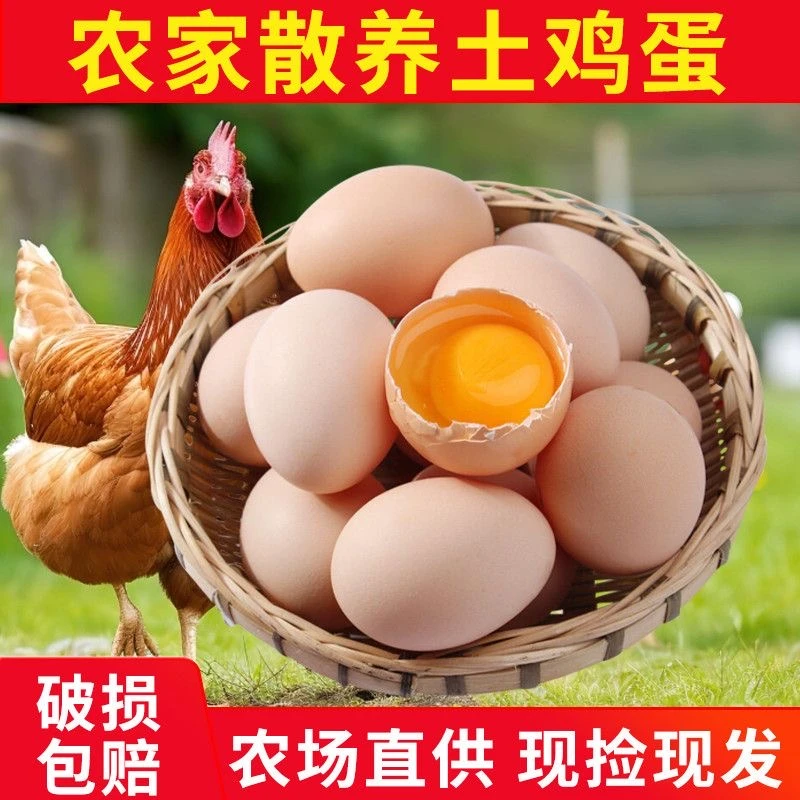 【新鲜鸡蛋】农家散养土鸡蛋40g到50g/枚新鲜土鸡蛋