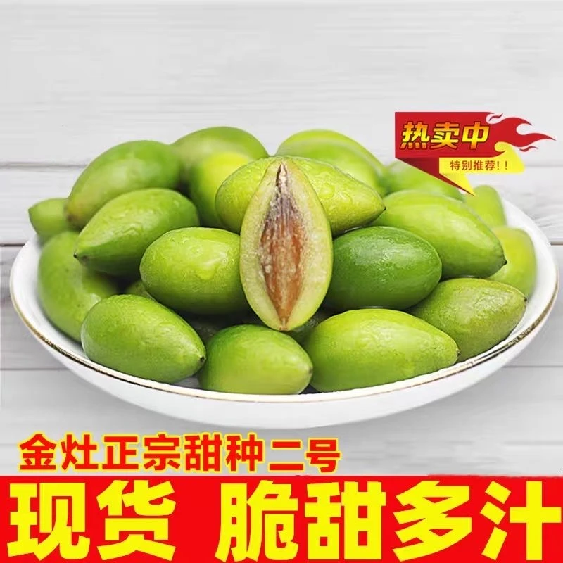 潮汕金灶特产青橄榄果现摘新鲜二号甜种橄榄柑榄生吃青果无渣脆甜