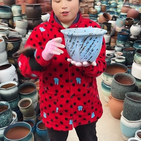 口21高15瑕疵一个盆。