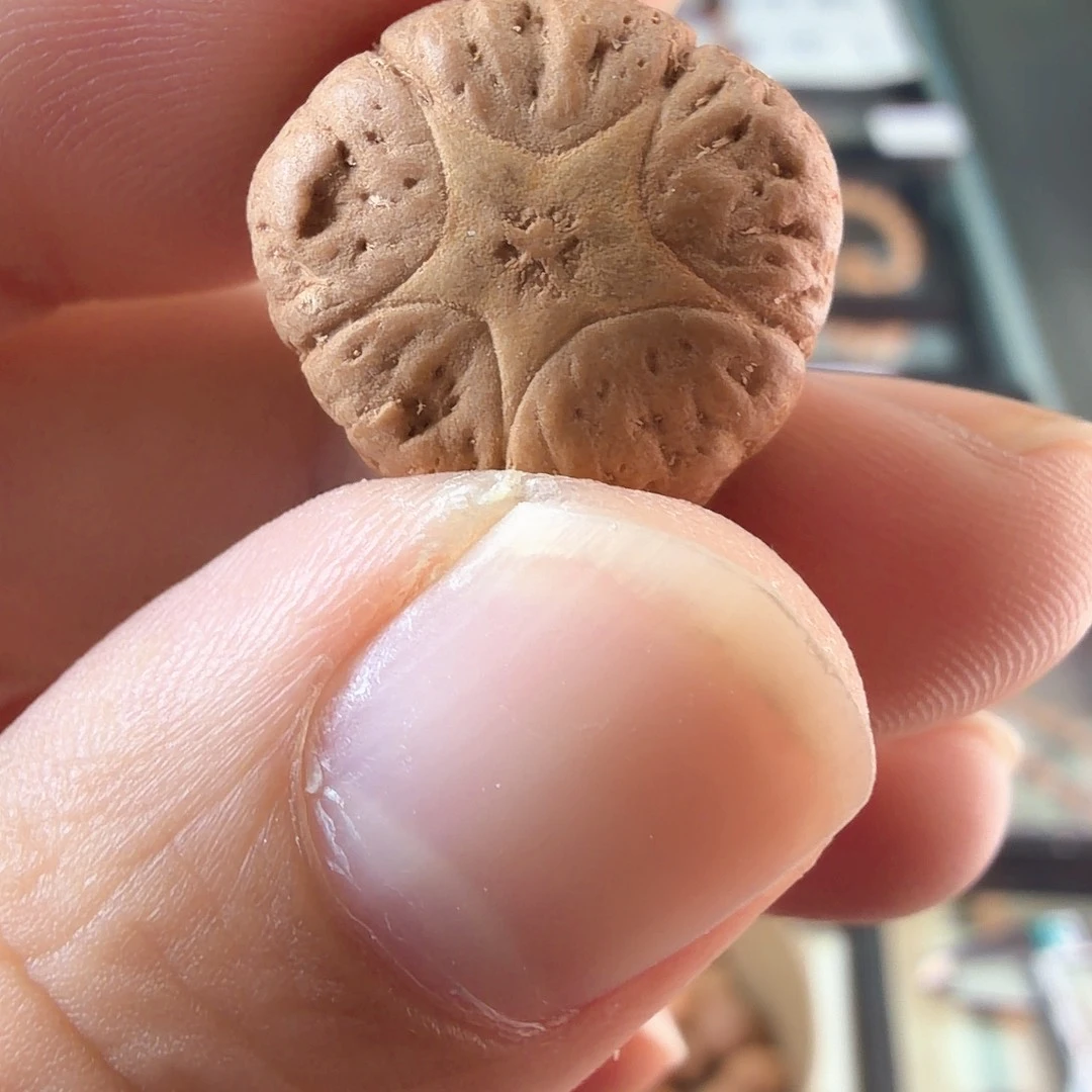 吊坠凤眼菩提3347打三通