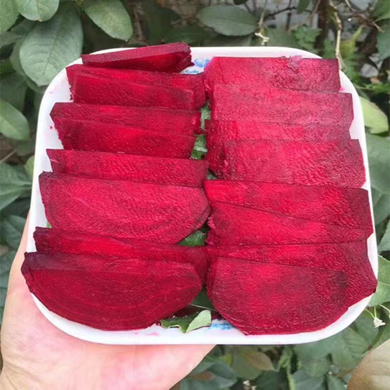 2025年新鲜现挖原生态有机肥种植红甜菜根打汁红菜头5斤装包邮