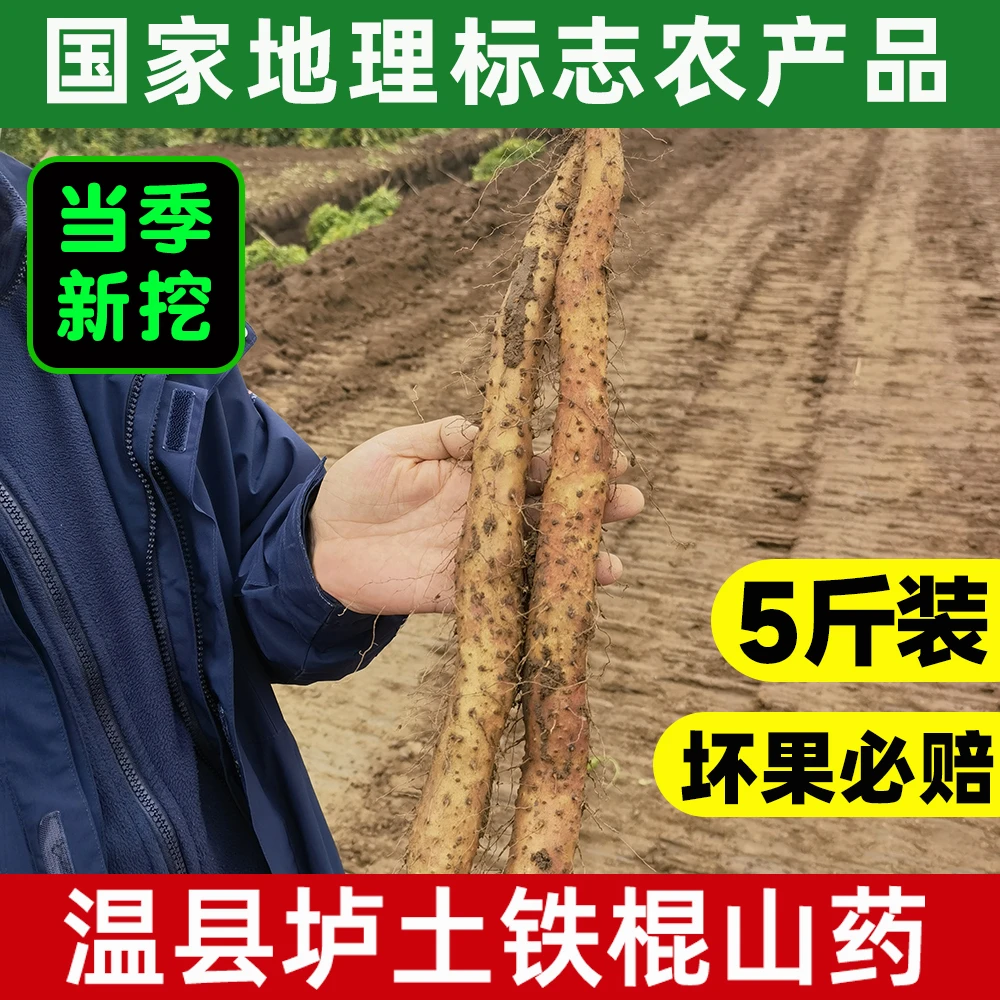 山药村长温县垆土铁棍山药怀山药4.5-5斤营养滋补自有基地