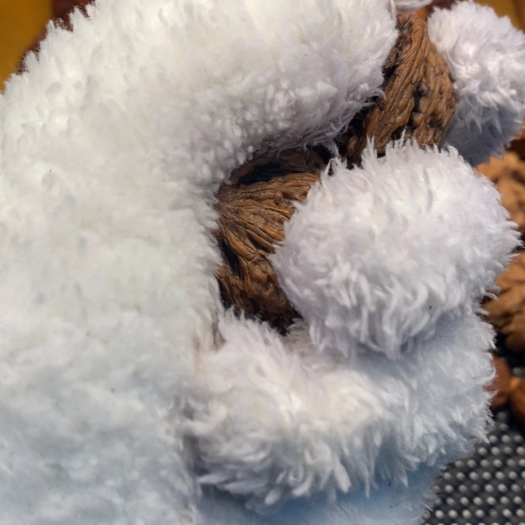 曼***森秦岭森林中发现两条