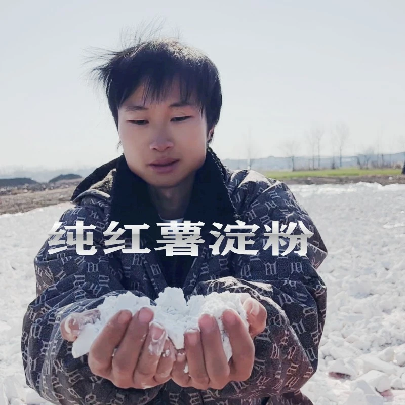 农家红薯淀粉 手工纯红薯粉红苕面番薯地瓜宗生粉小酥肉粉面原料