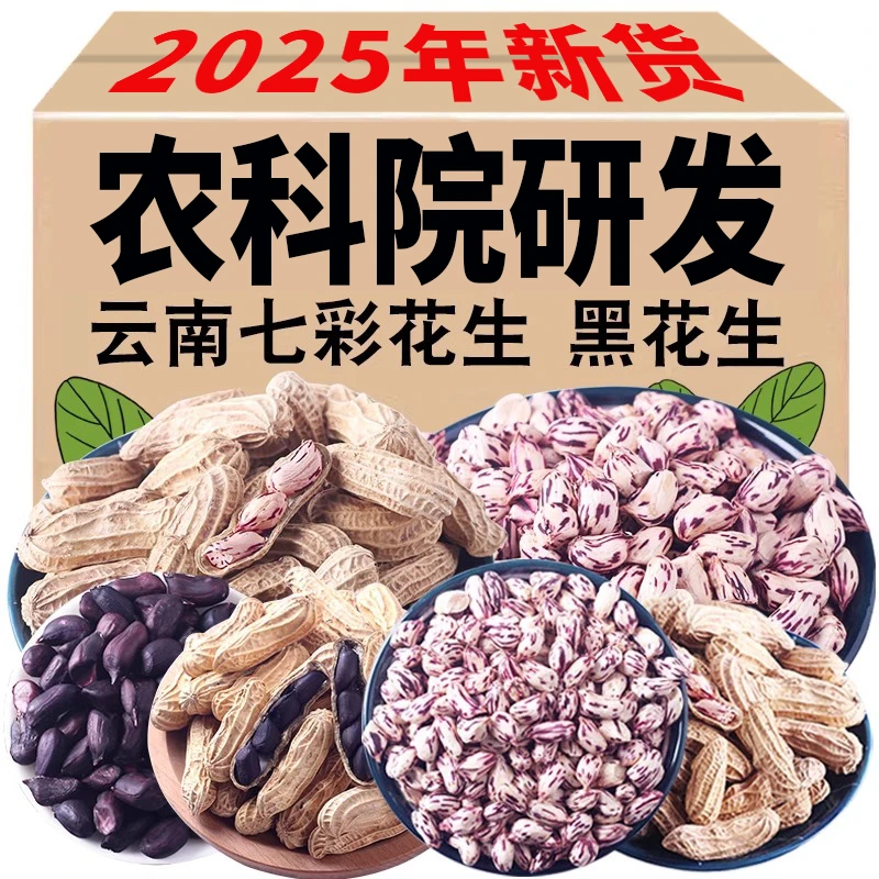 农科院云南七彩花生黑皮花生米新鲜带壳生的原味炒熟去壳坚果零食
