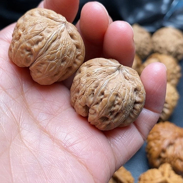 文玩核桃吊坠W*元宝变异