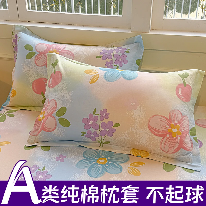 A类纯棉枕套一对装成人枕头套48×74全棉简约高端枕芯内胆套男家用
