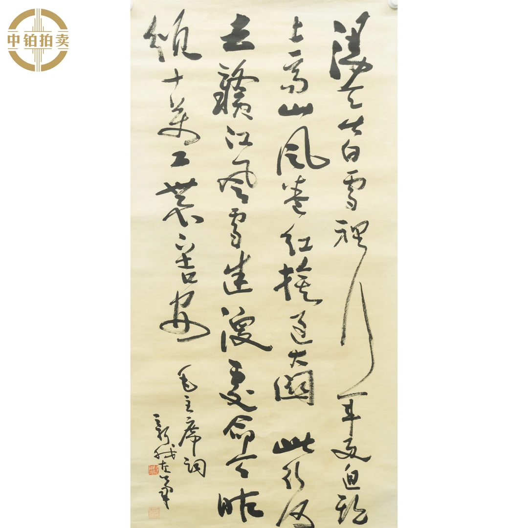 lot1132 费新我 书法 原片 138cm*69cm 约8.6平尺