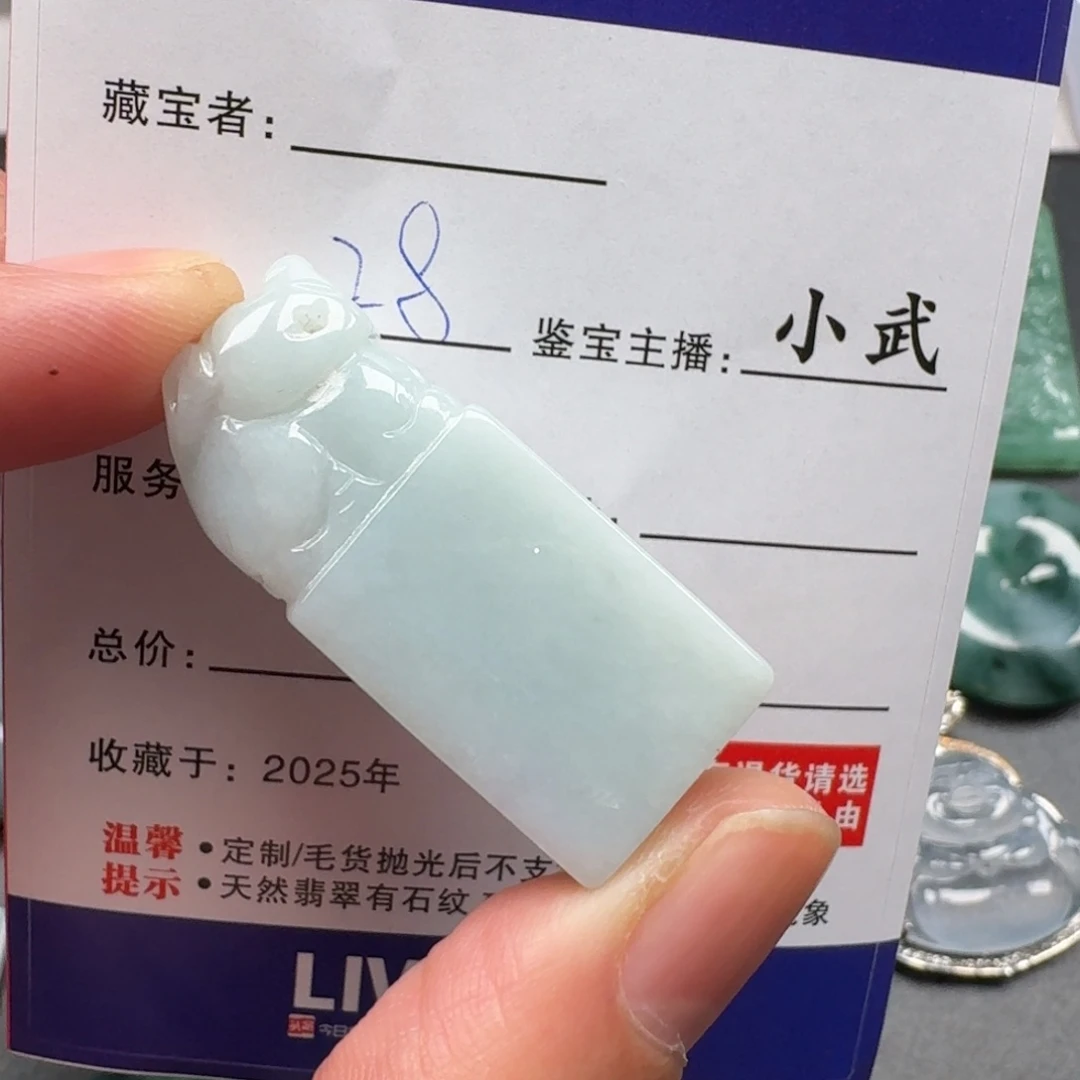 翡翠未镶嵌颈饰       9999
