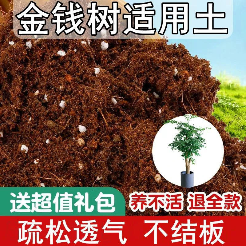【送礼包】金钱树适用土盆栽土壤通用室内植物花卉营养土专用肥料