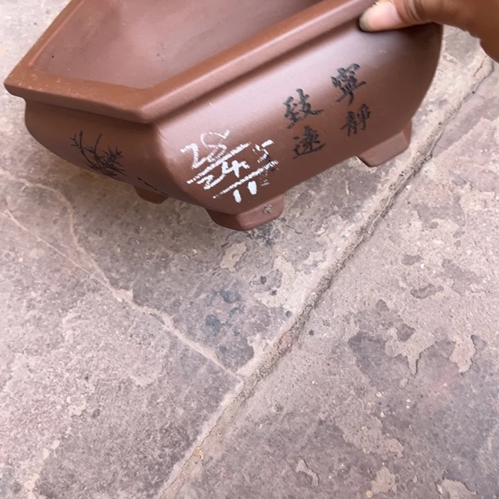 紫砂花盆紫砂花盆