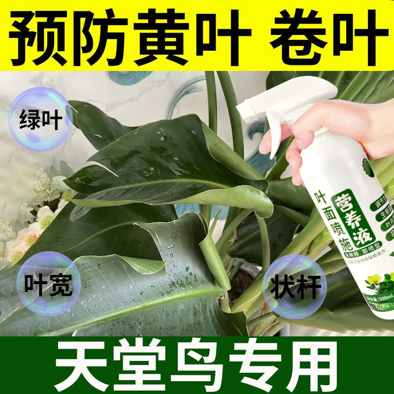 天堂鸟专用营养液防卷叶黄叶家用喷叶花肥养花花卉液体肥