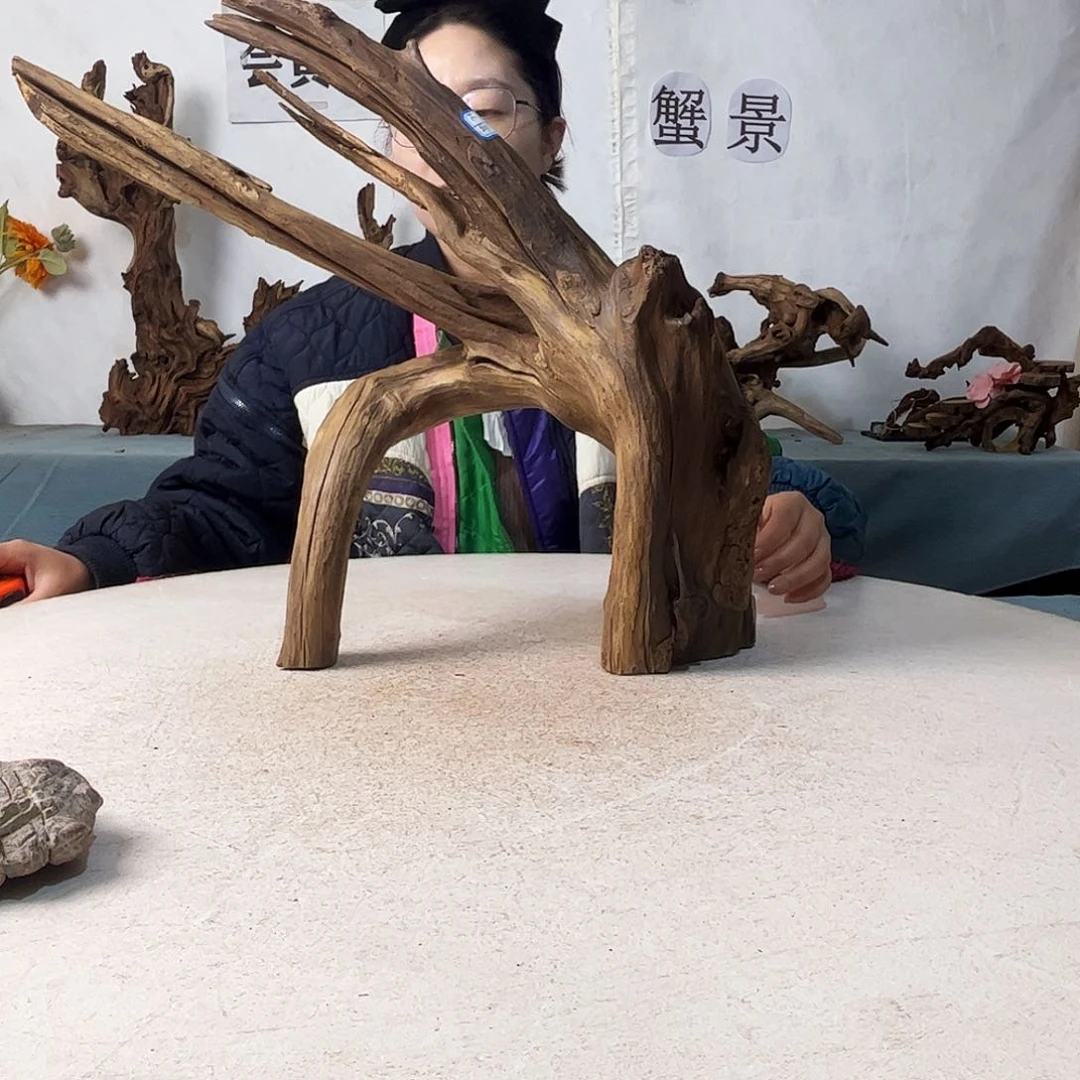 沉木造景爬宠造景