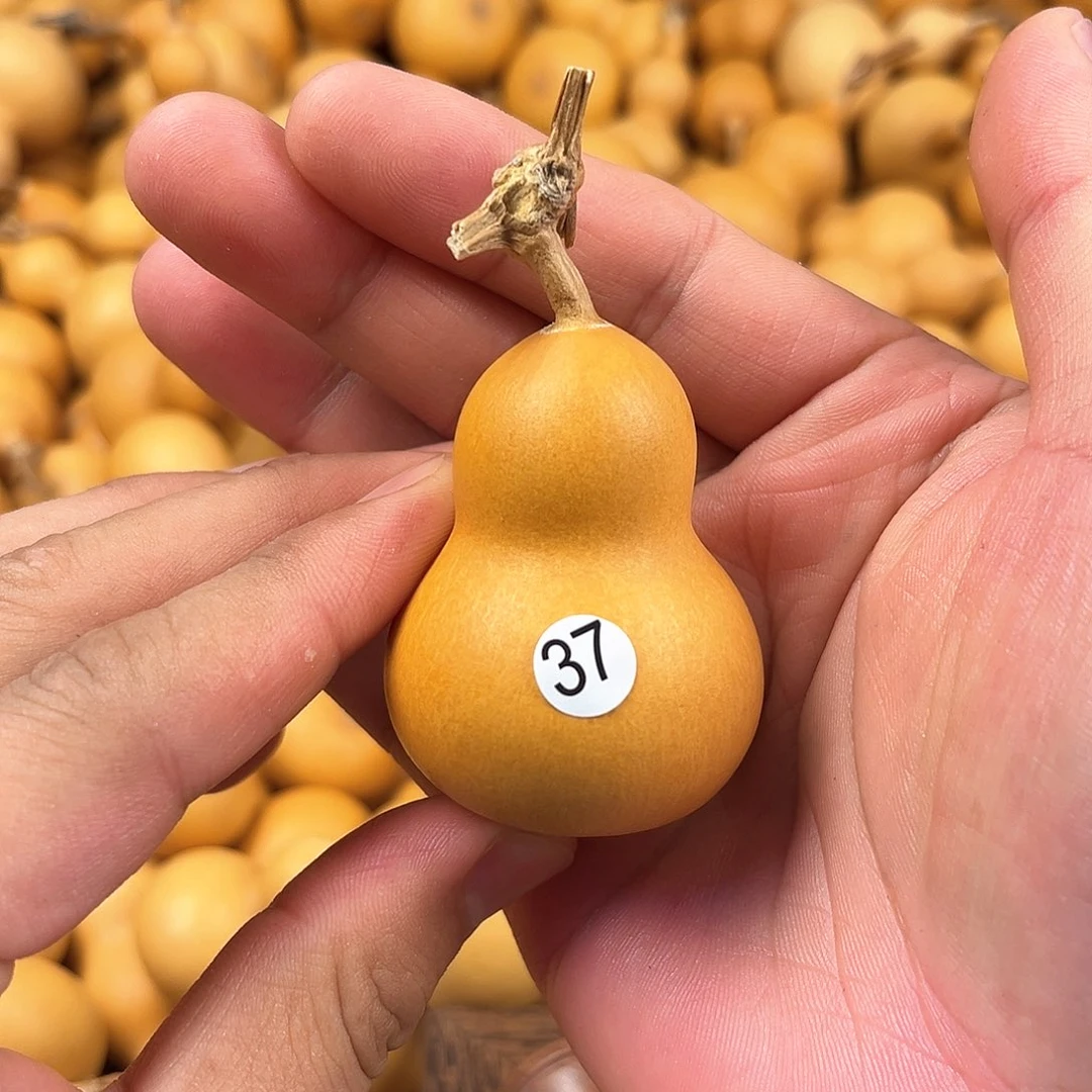 一葫芦葫芦葫芦葫芦37