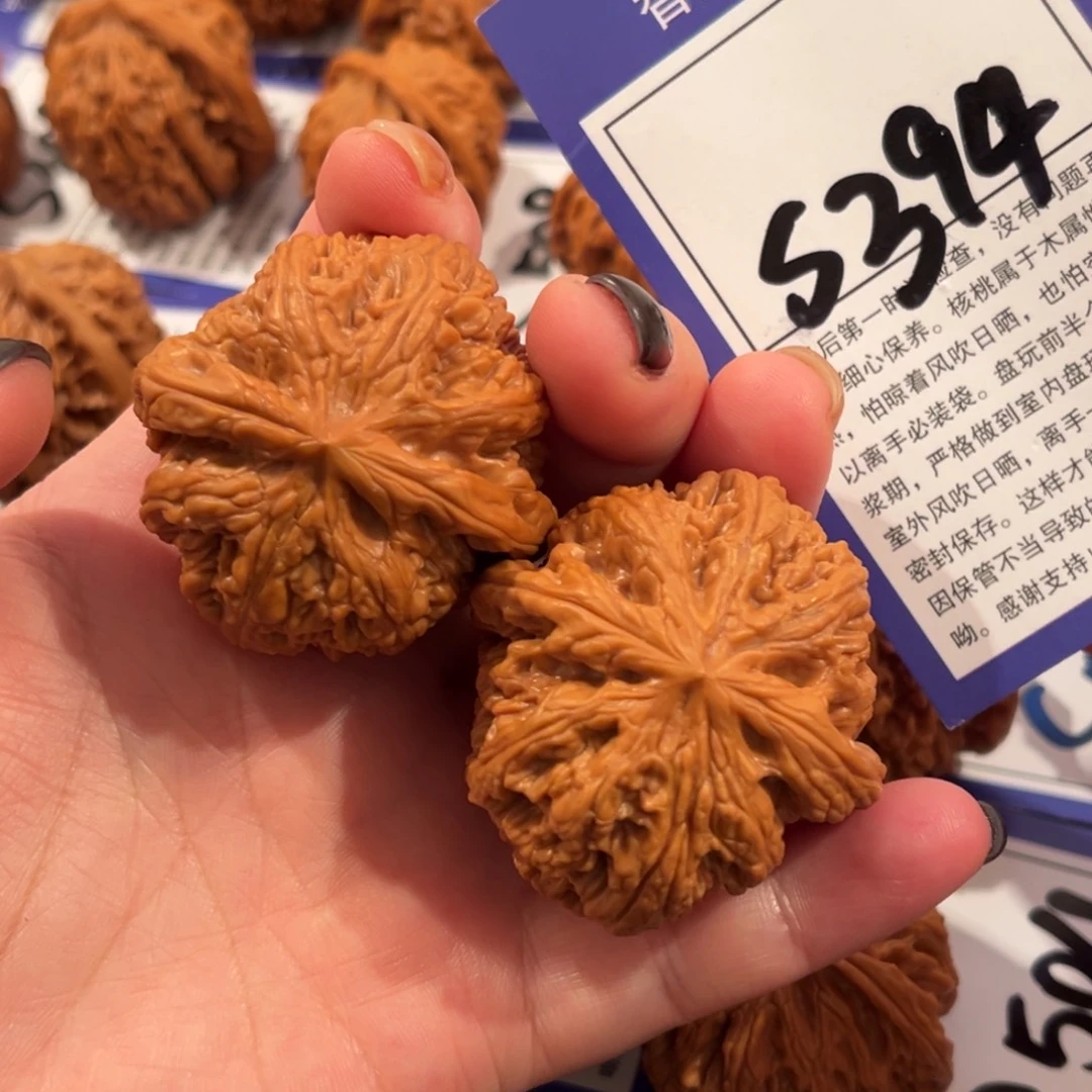 核桃S394号粗筋43尺