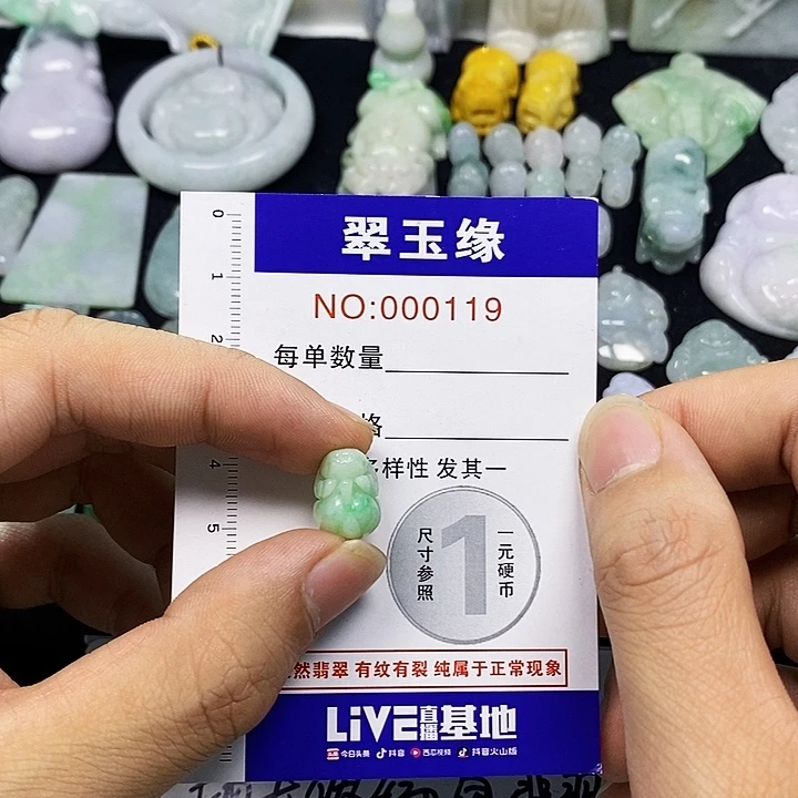 曹***庆翡翠未镶嵌颈饰翡翠