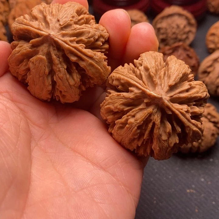 秦岭野生文玩核桃