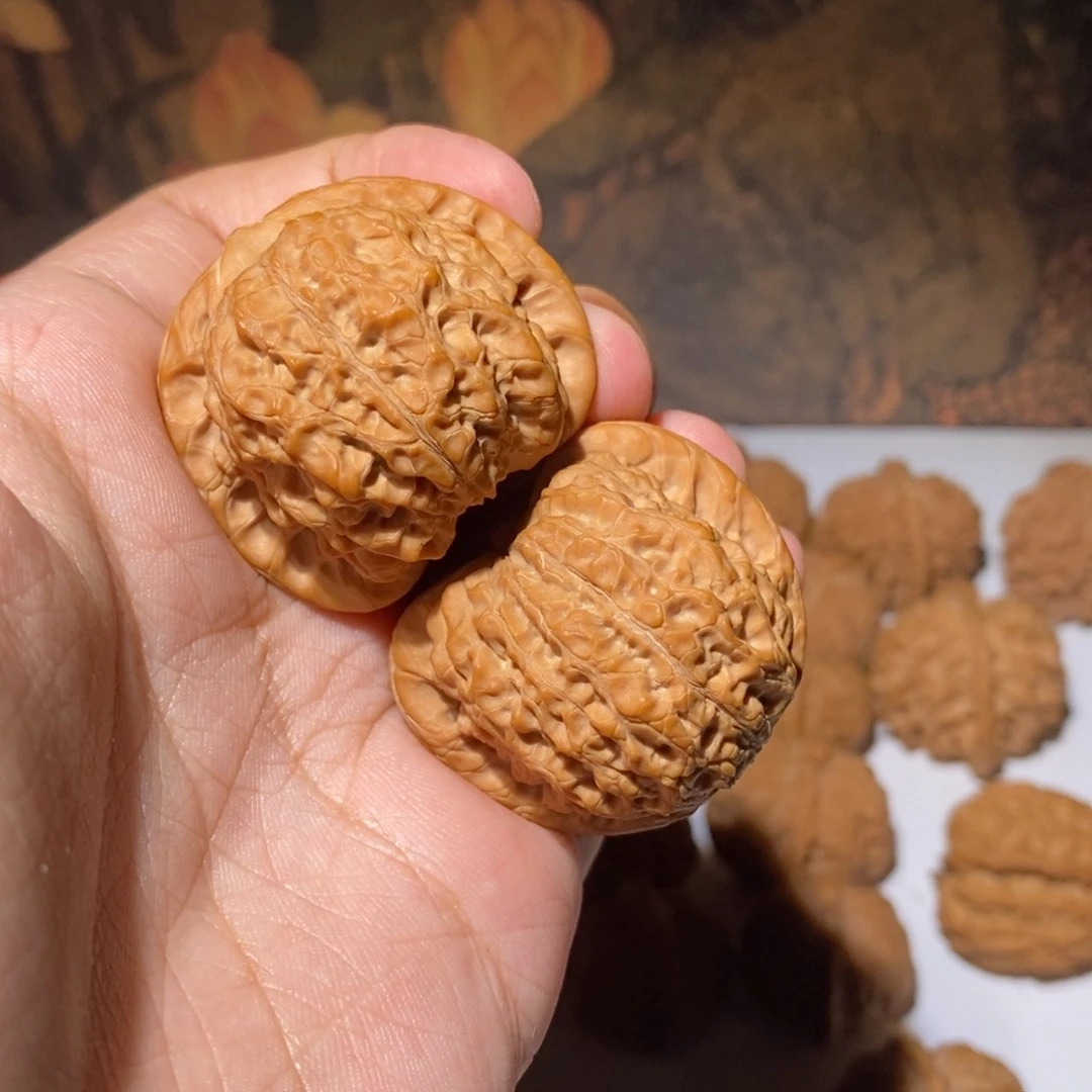 文玩核桃把件40全品血麒麟