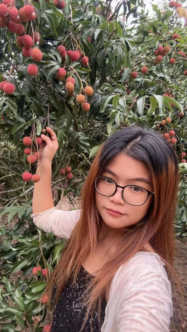 茂名荔枝新鲜当季水果白糖罂